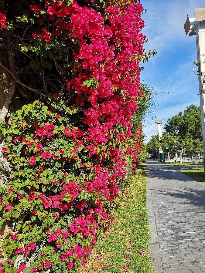 Japan Beach Parque Del Oeste Apartment Malaga 0*,  Spain